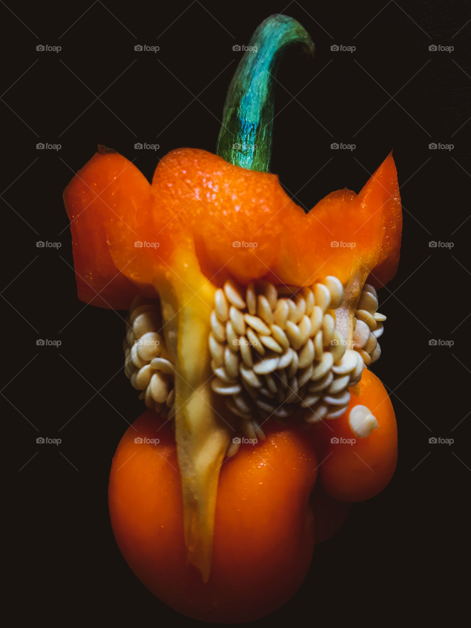 I took this with my i7plus phone. This closeup of the inside of a bright orange pepper pops against the black background. A new baby pepper had grown at the bottom of the seed head & was only revealed when the pepper was cut open. 