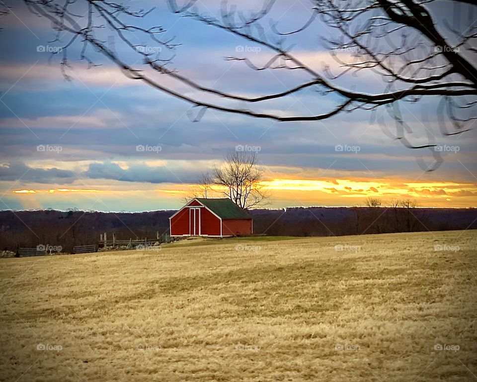 Where the farm life lives