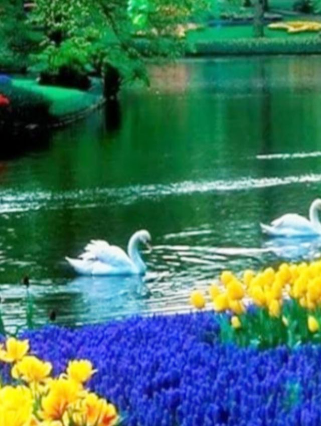 village river