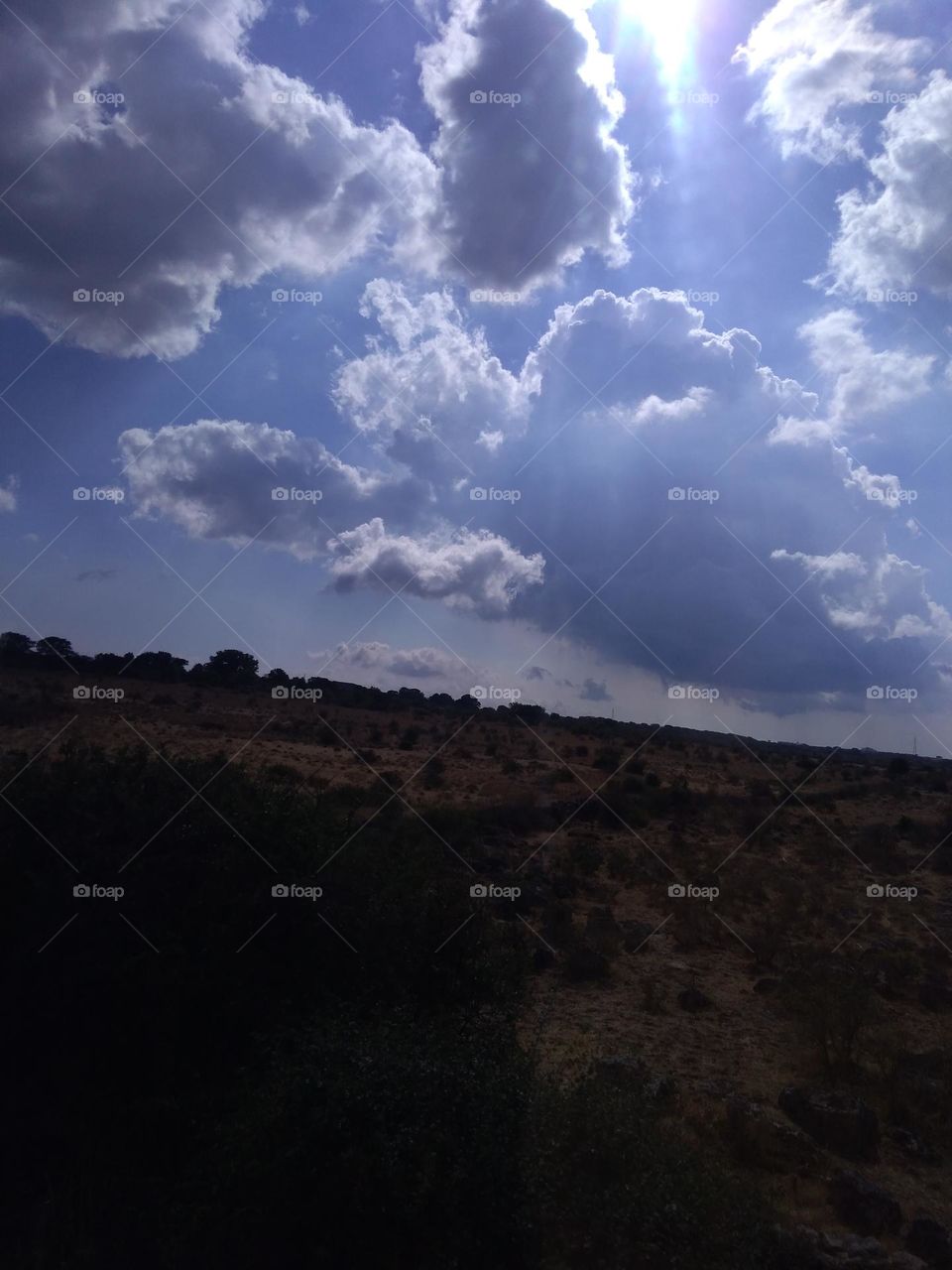 Best of 2021: Nature