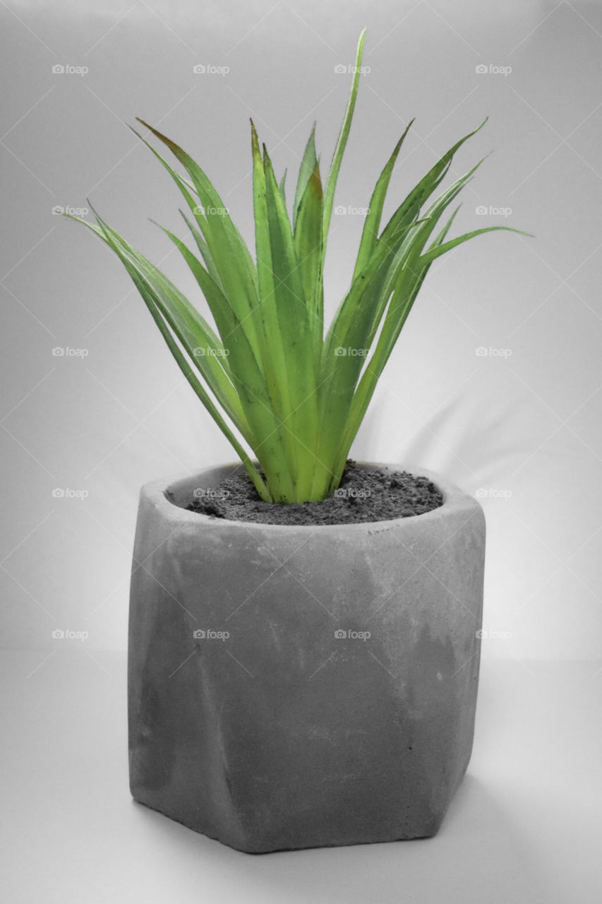 Artificial plant 