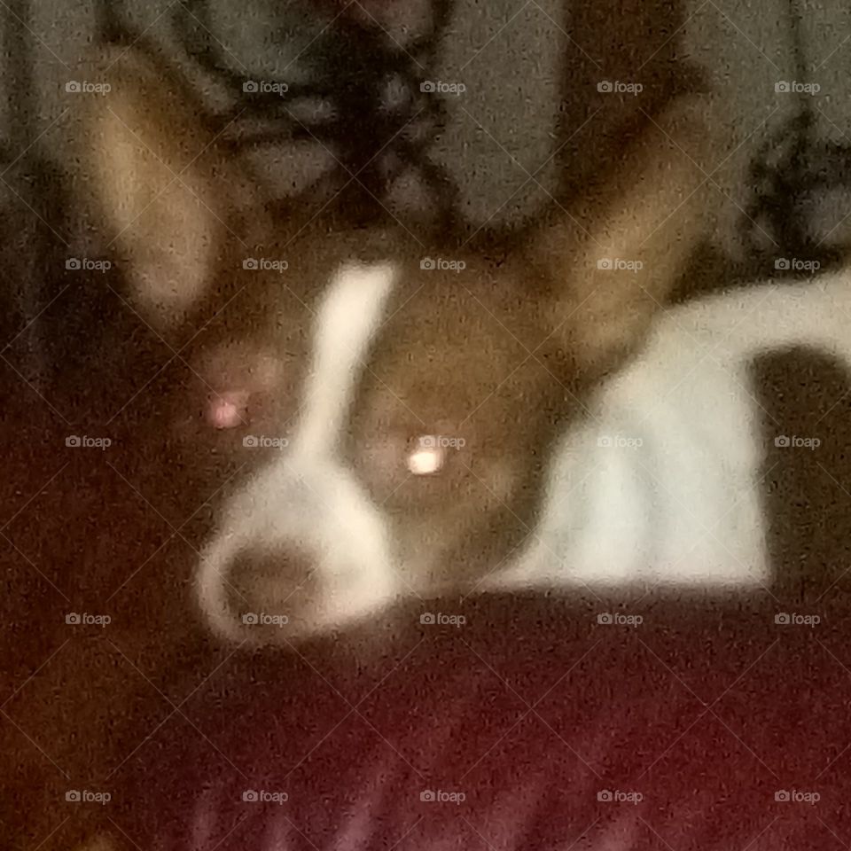 aren't you going to share some of your food with me? sure does smell good real good.