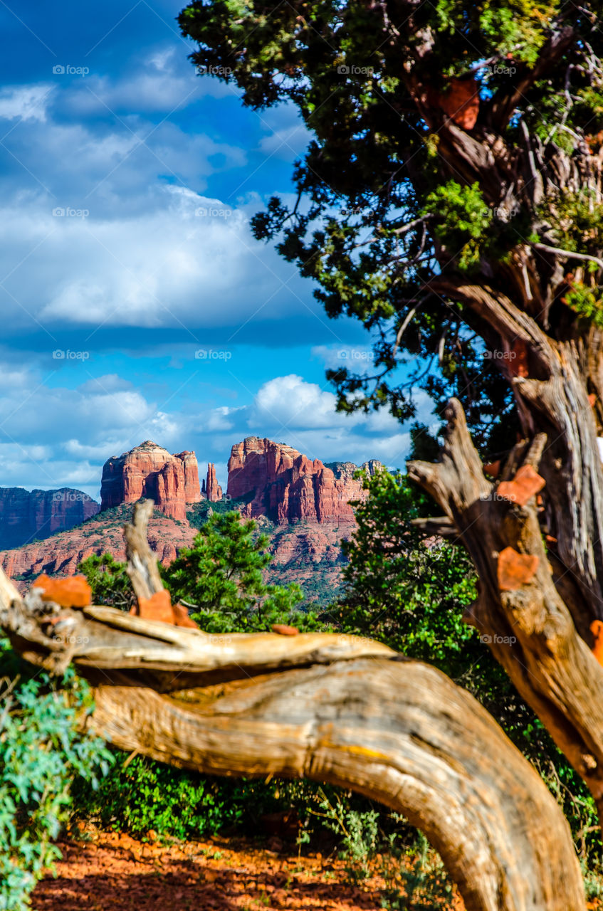 Sedona 8