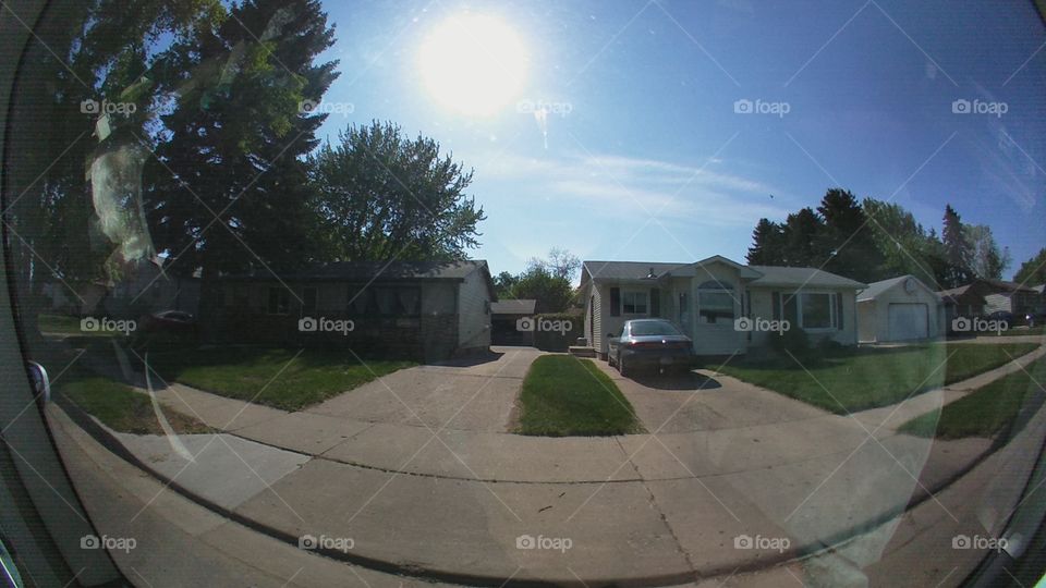 Home, Tree, House, Building, Architecture