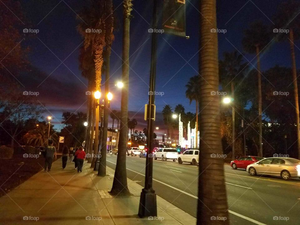 Walking down a California street under the palm trees.