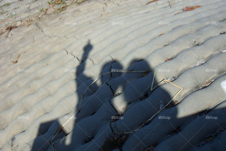 Myakka State Park shadows
