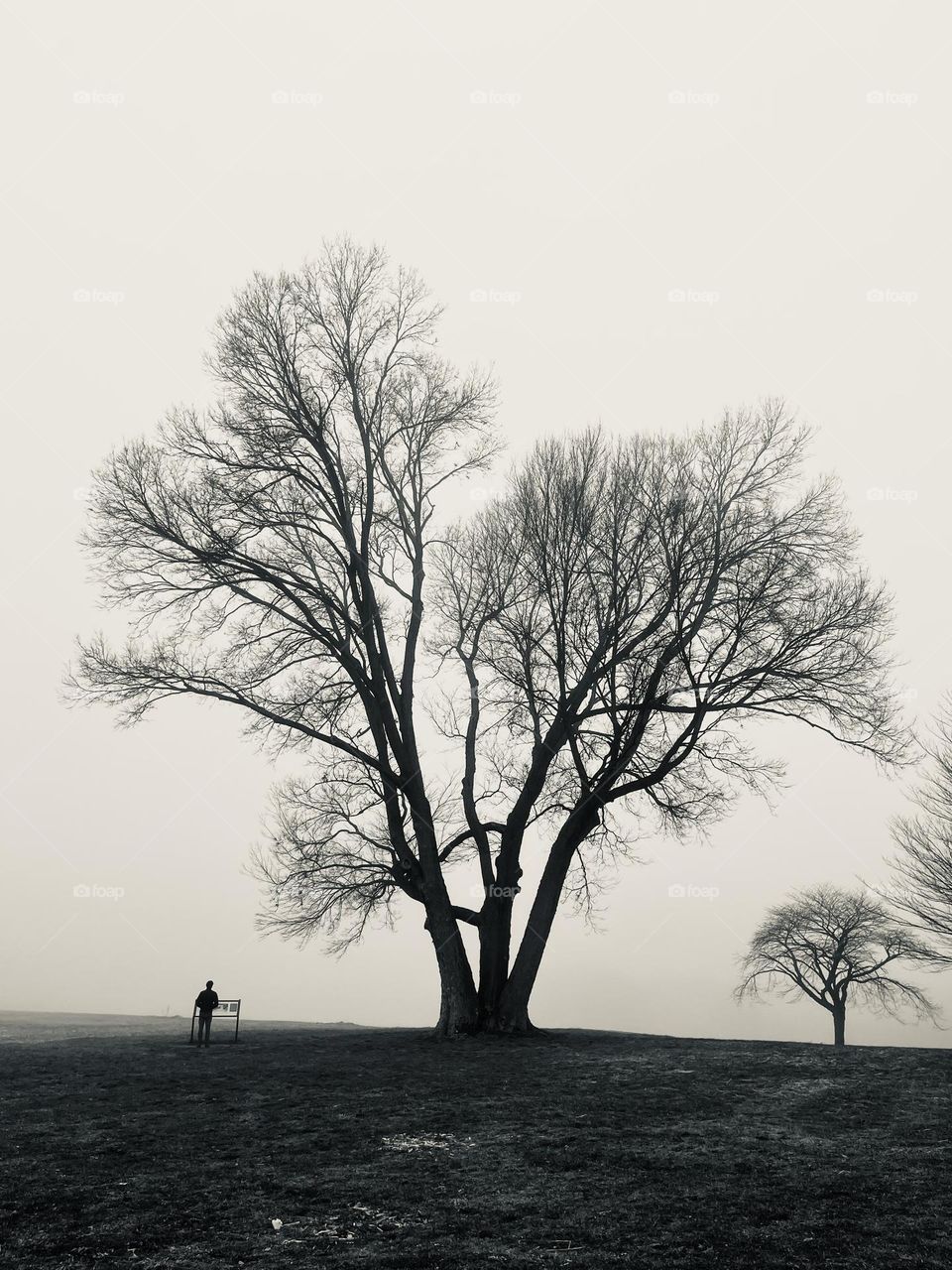 You must learn to be your own company, your own cure..