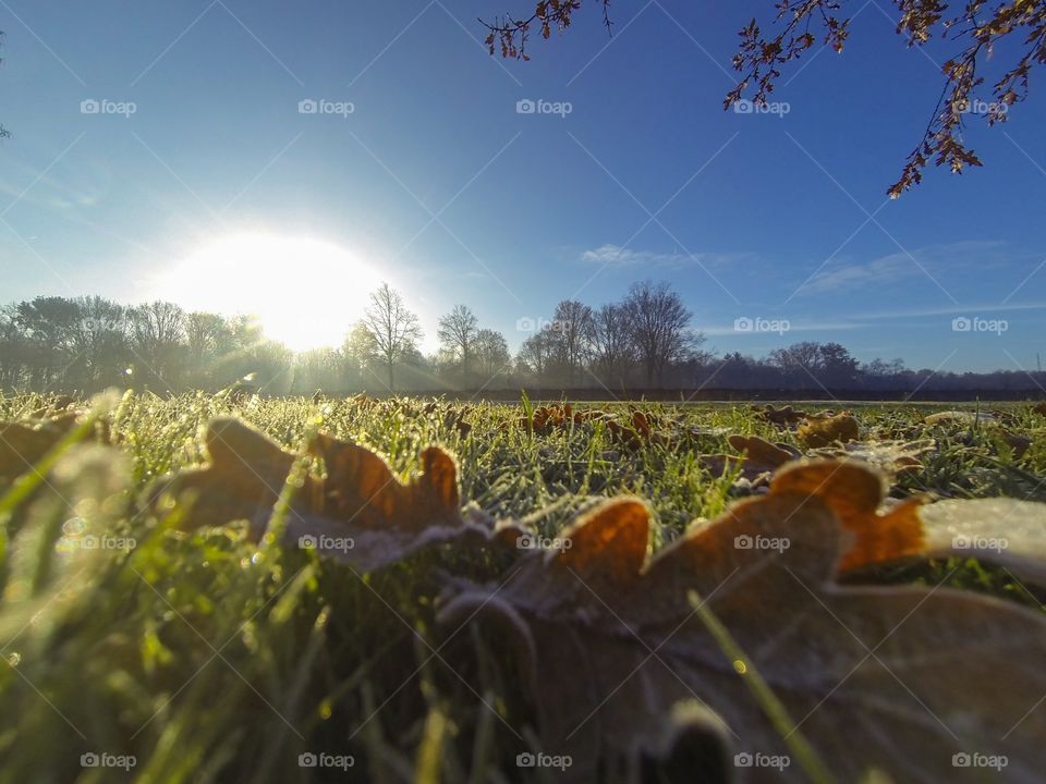 Countryside sunrise showing the colorful sky over the frozen grass