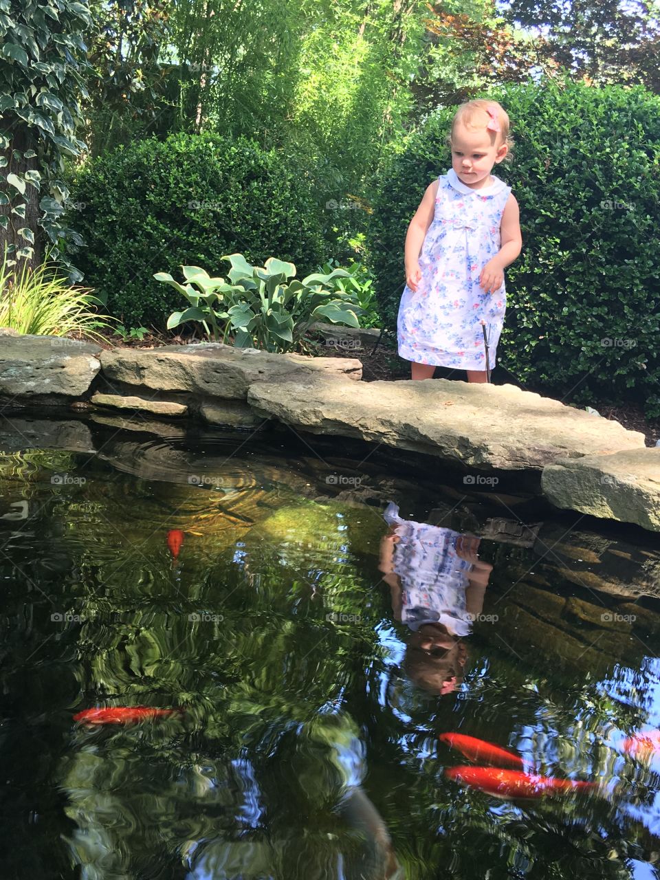 Girl watching carps fish in the pond