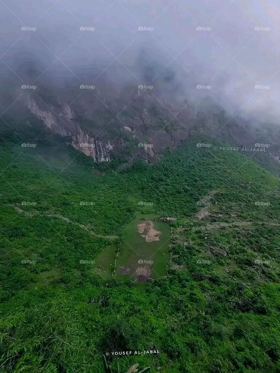 A very beautiful picture, and there is no better picture than it. There is no better picture of green herbs and colorful, red and white roses than it. Glory be to God, the natural and picturesque view, and there is no more