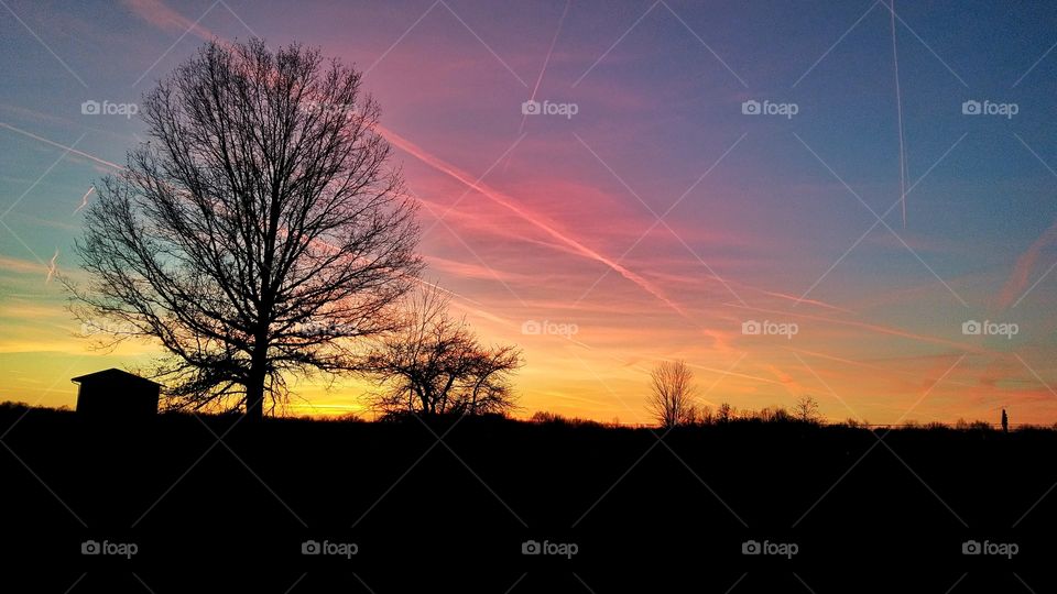 Beautiful sunset with tree silhouette