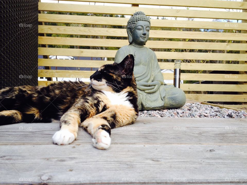 Relax with Buddha