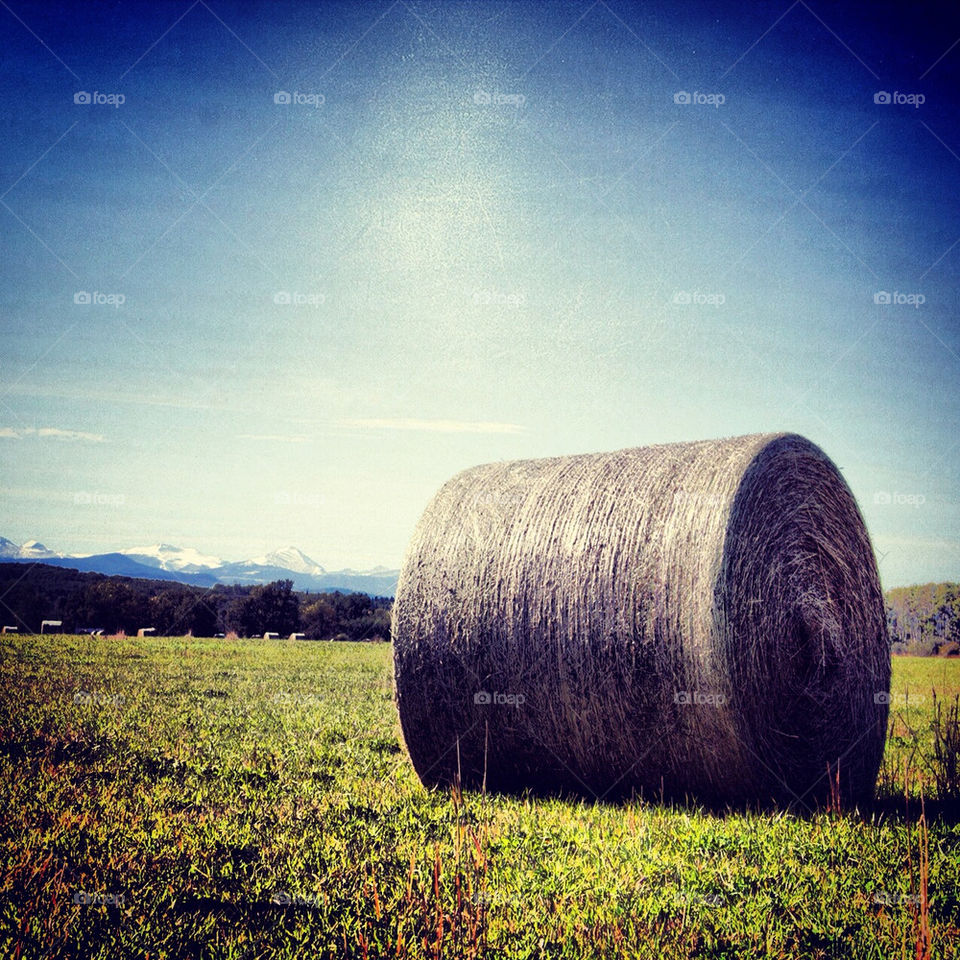 field industry farm farming by redrock