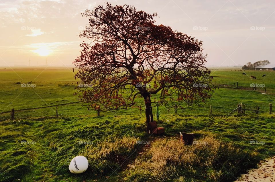 Have a autumn-break 😌