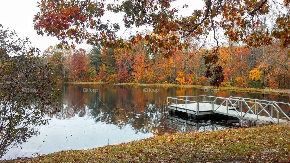 Autumn in Gilley's Park
Rocky Mount, Virginia