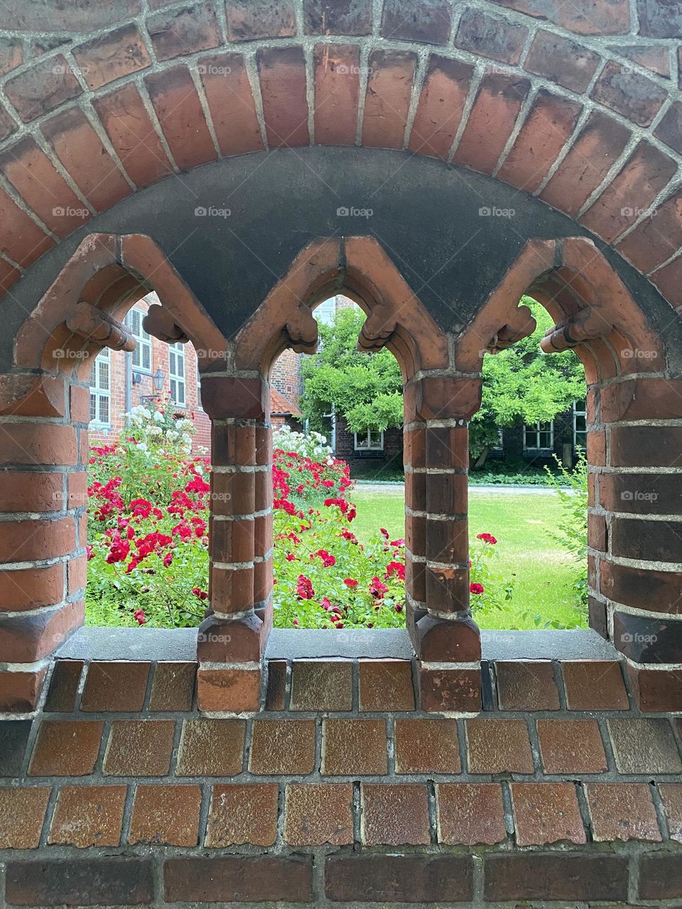 Flowers behind the wall