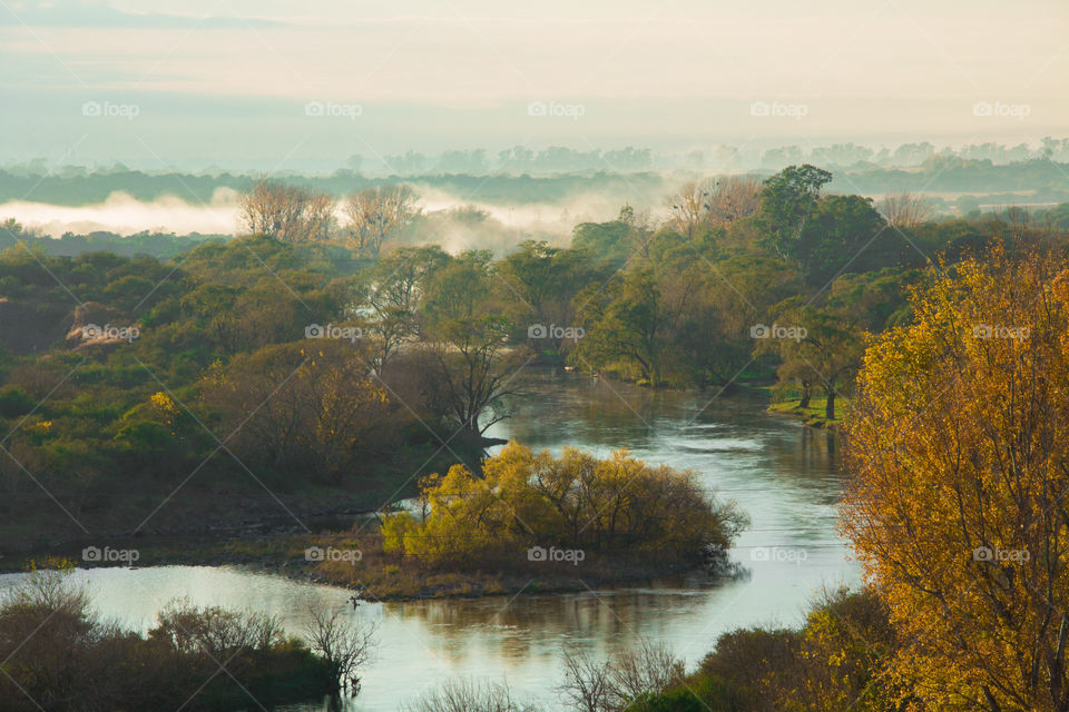 fog under river on autumn