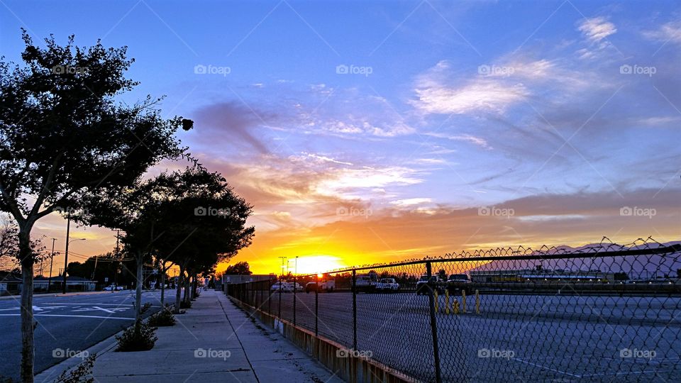 Walking at sunset.. What  I see when walking in the golden glow of sunset!