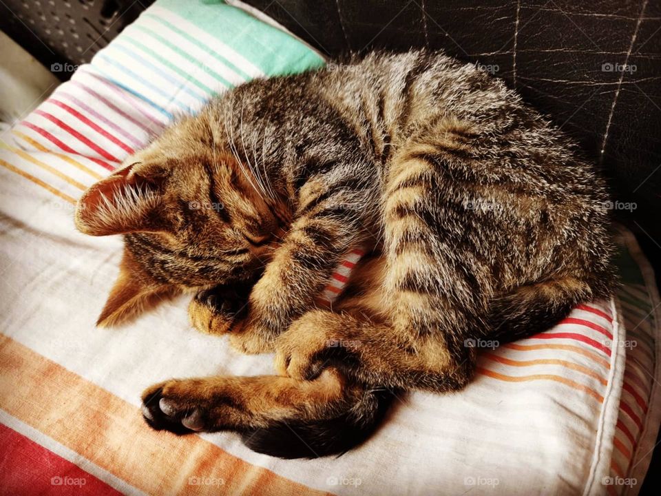 Don't wake me up! I'm sleeping.