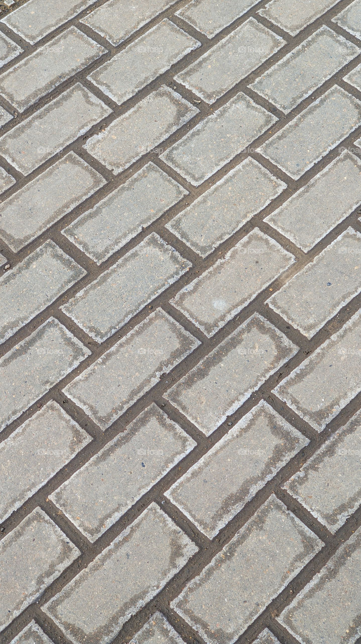 rectangular brick grey paving slabs laid in a row