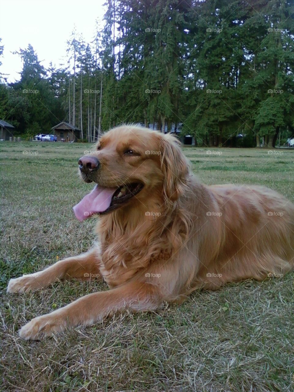 Holding down the grass...