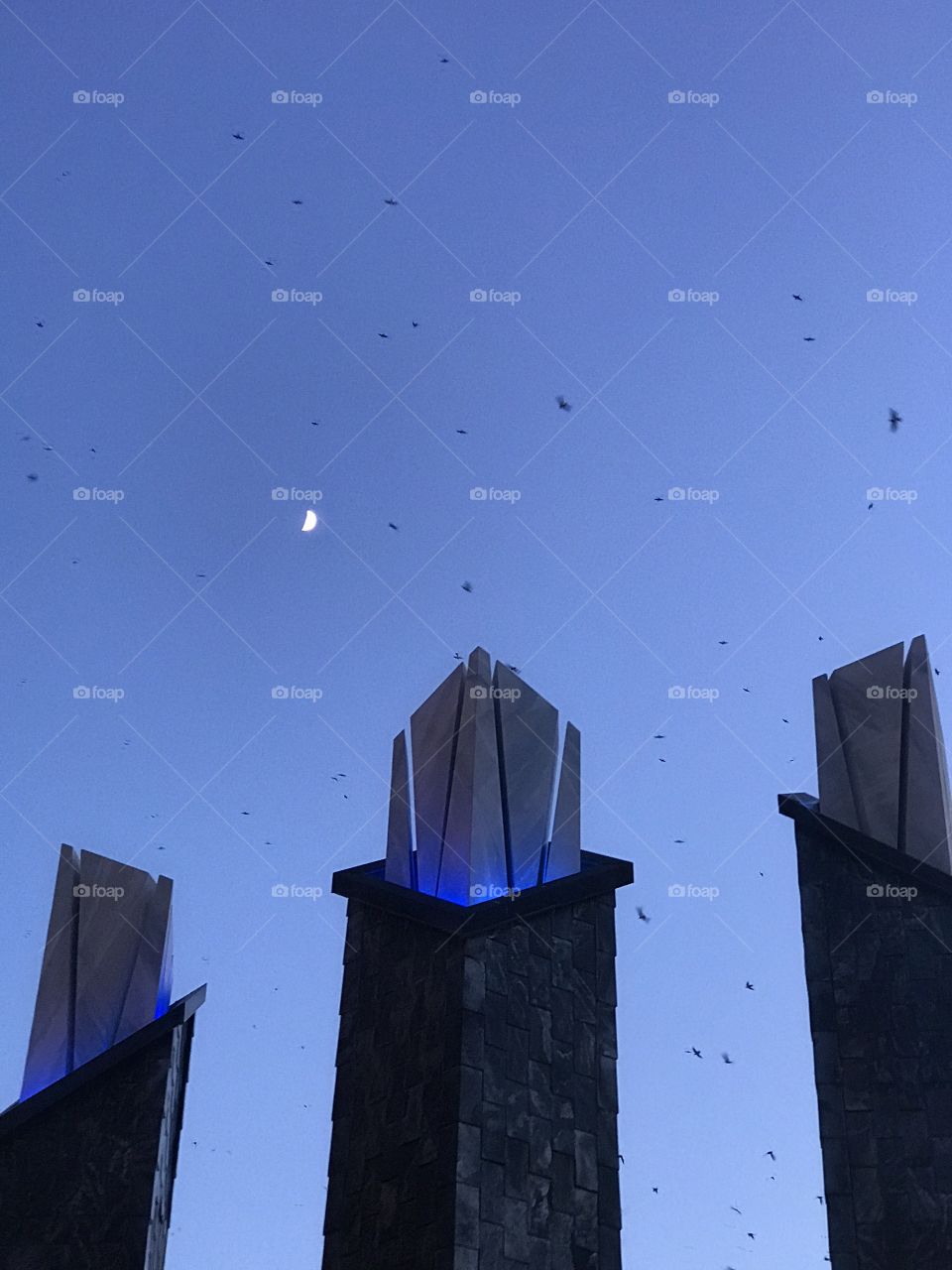 Tops of architecture design in front of a building with birds flying all around and the moon showing at sunset! This is an unedited image!