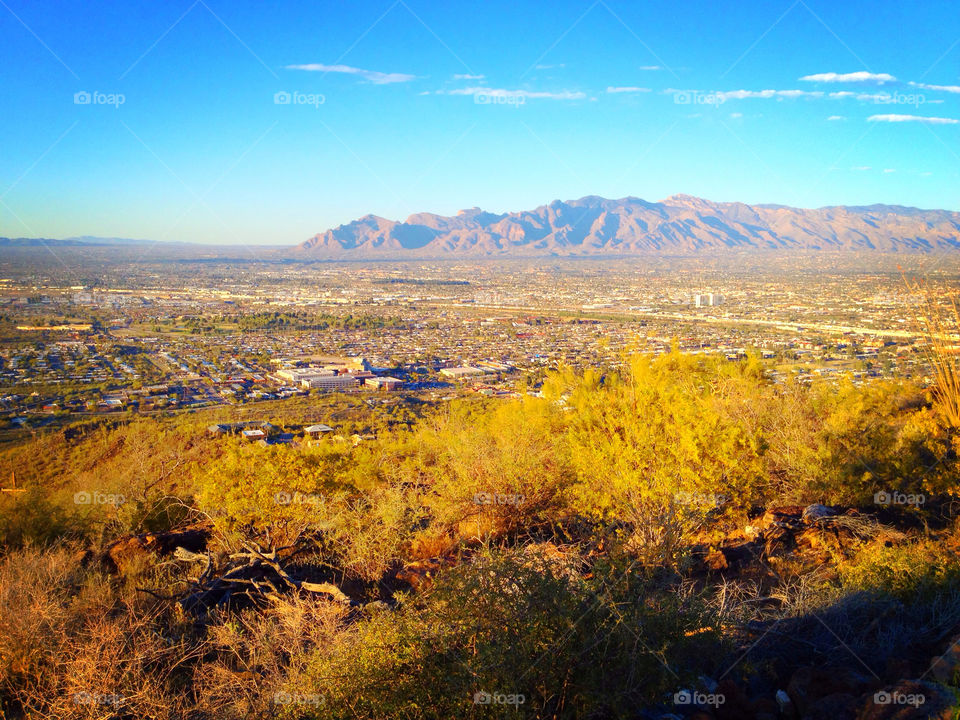 Desert of Arizona