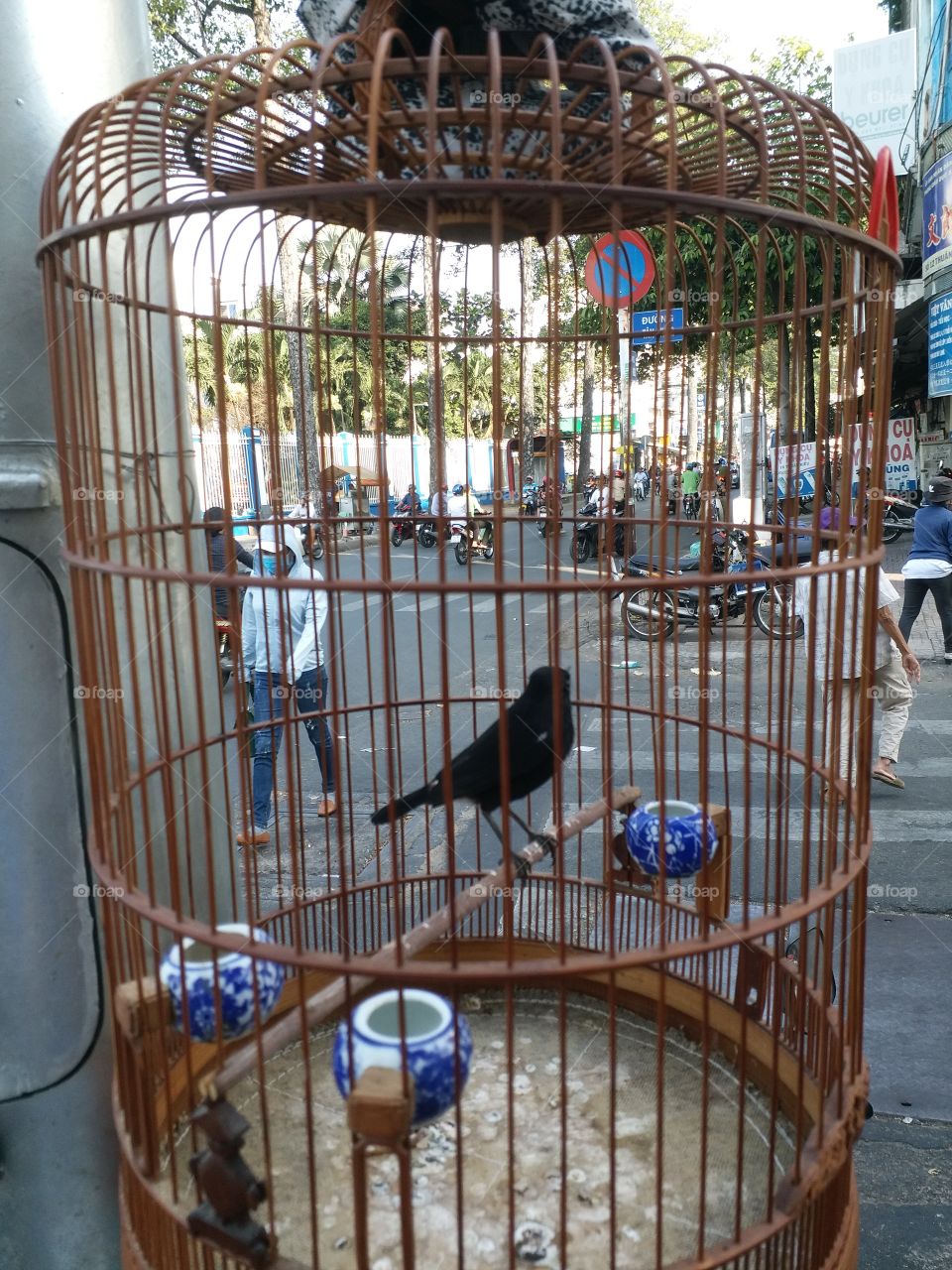 birdcage & Saigon street