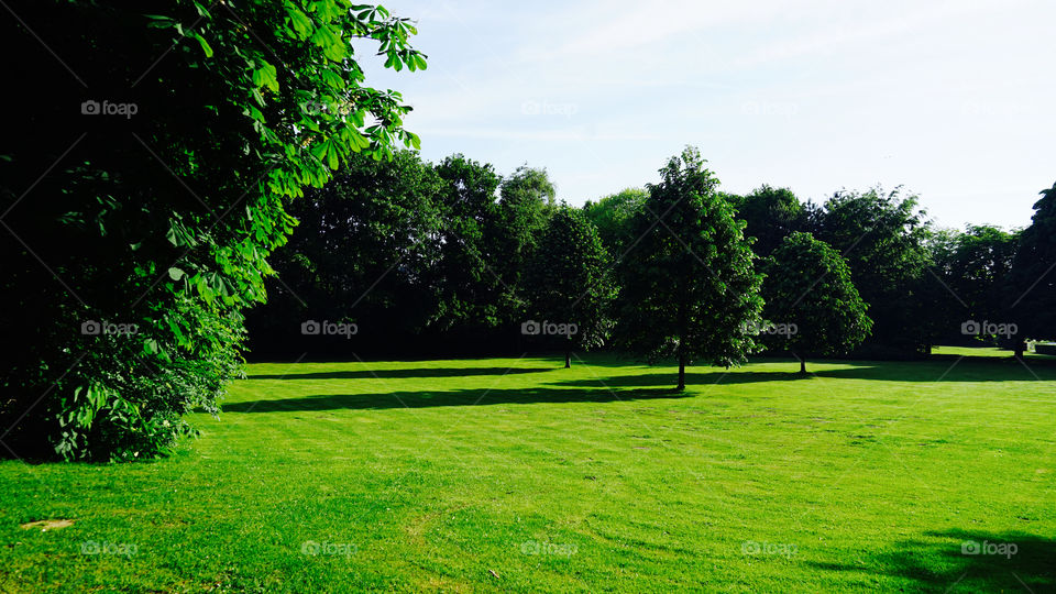 Spring in a park in Antwerp