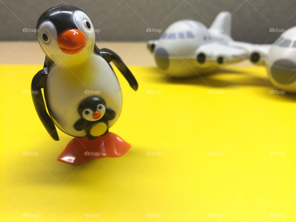 Penguin mom from South Pole . Penguin mom just de boarded the flight from Antarctica to meet us 