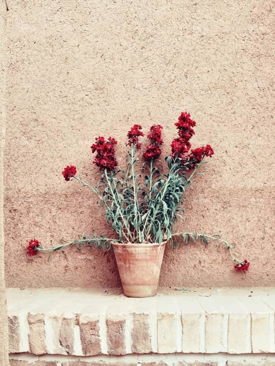 Old,lonely vase beside the wall