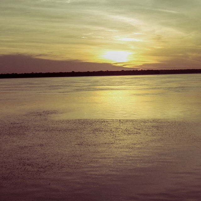 Sunset Brown