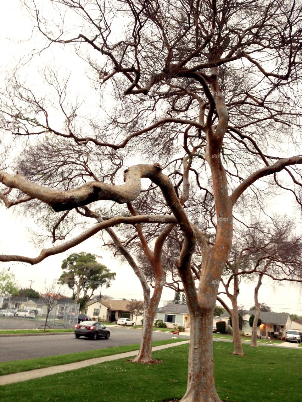 Another Gloomy Day

Published by:
HappyBrownMonkey 