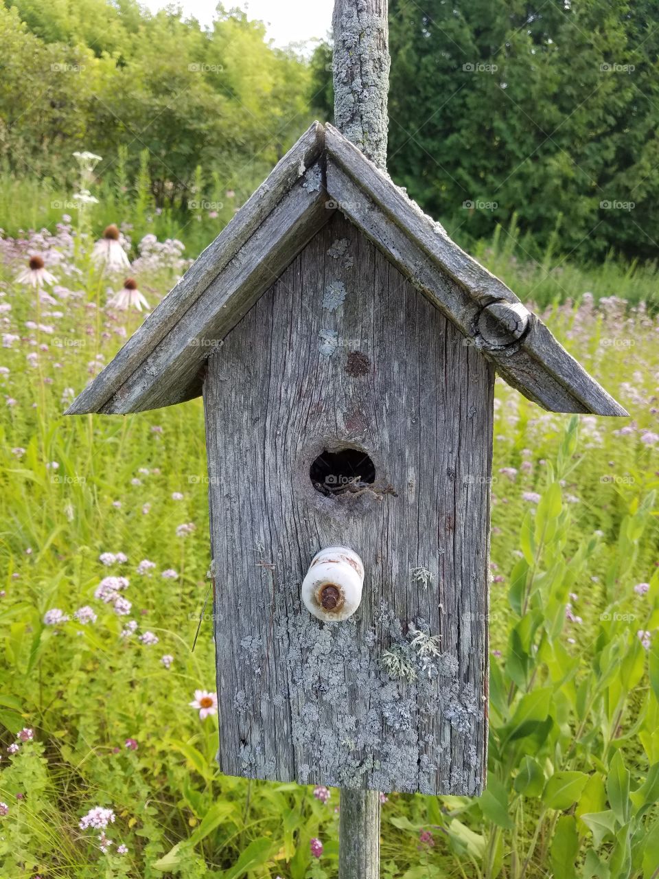 Birdhouse Prairie Garden
