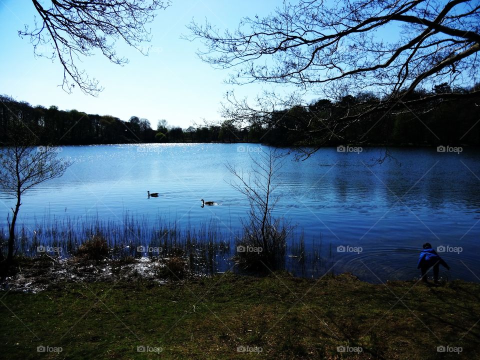 lake. Wollaton Park- child enjoying spring and playing by the lake