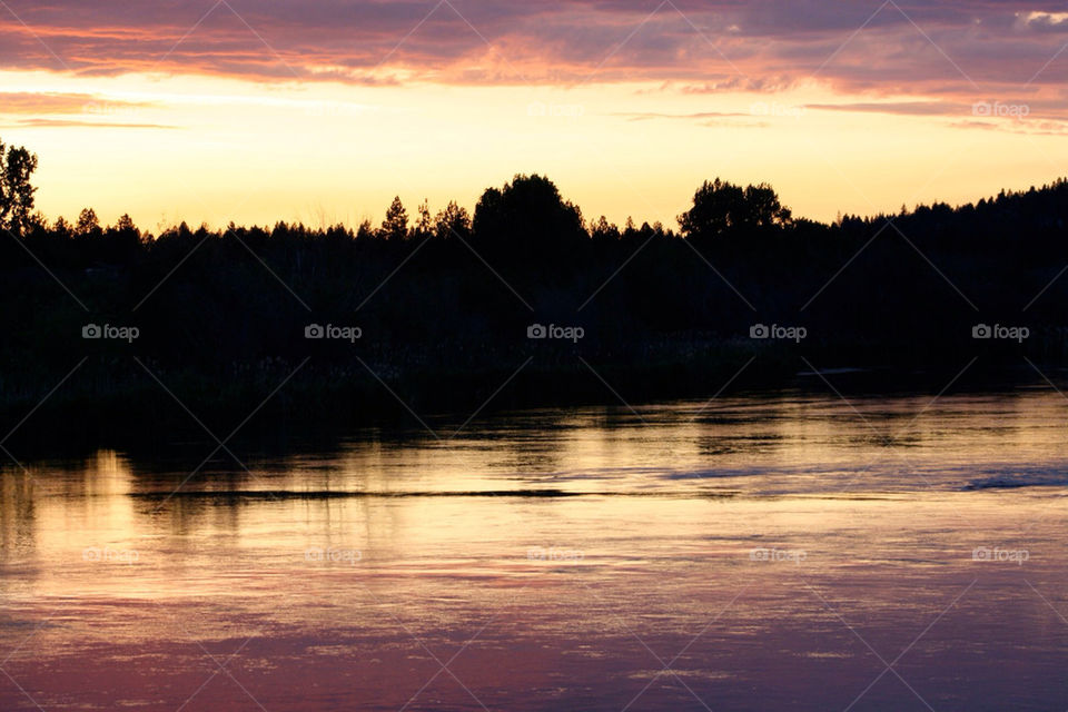 trees water river usa by mmcook