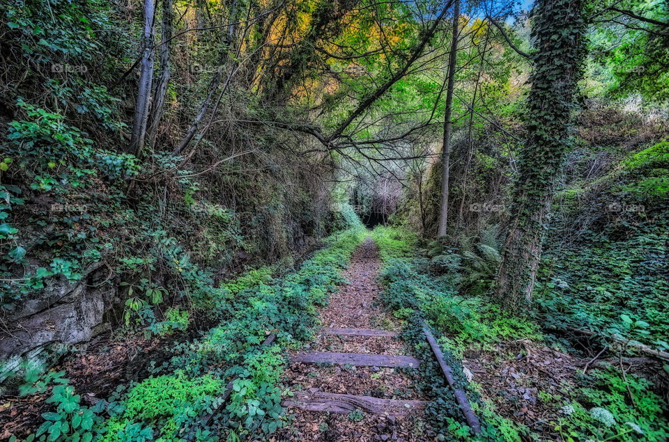 Via muerta,  naturaleza muerta