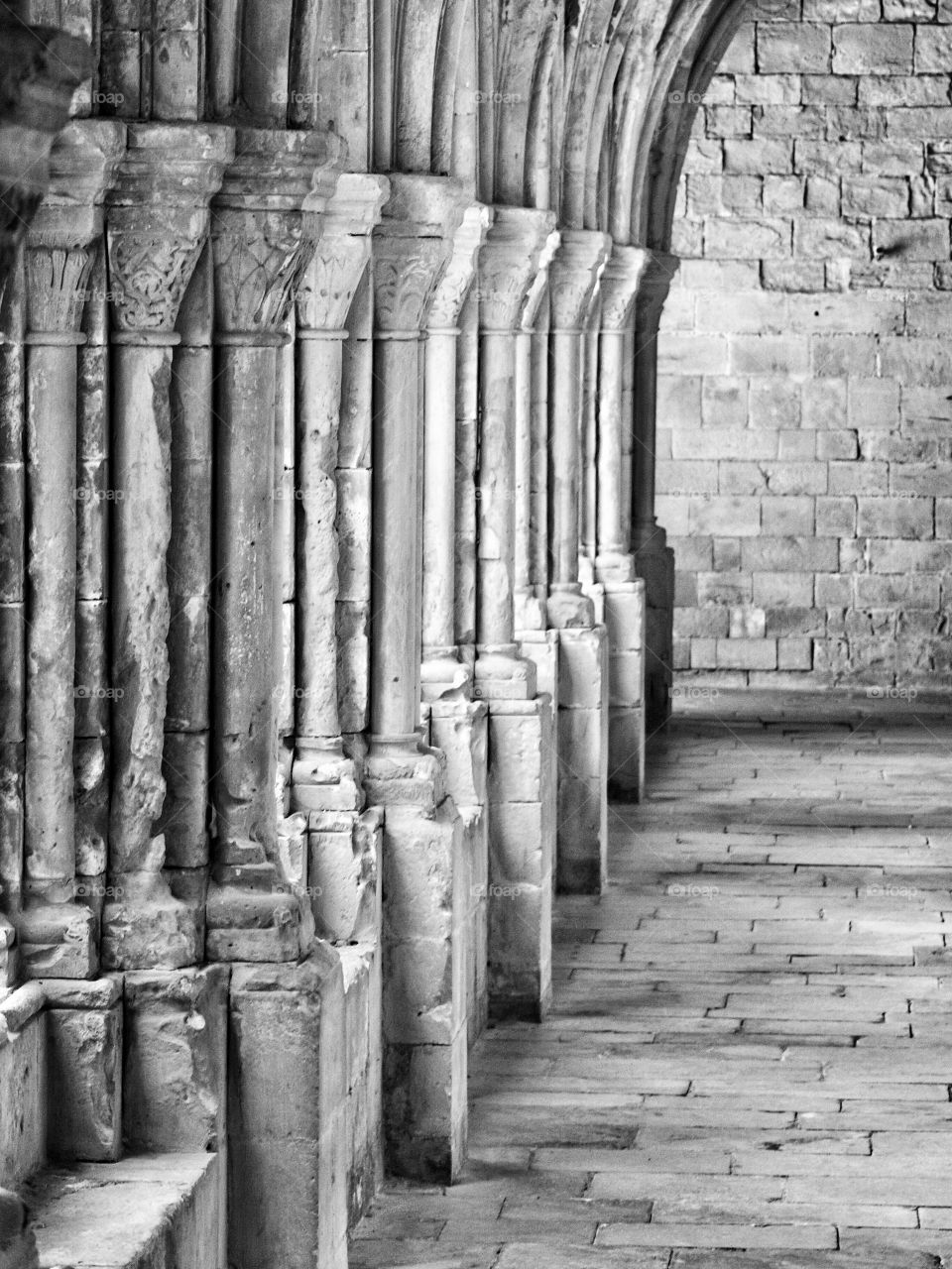 Cloister. Cloister