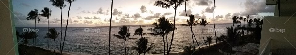 Beach, Tropical, Palm, Ocean, Seashore