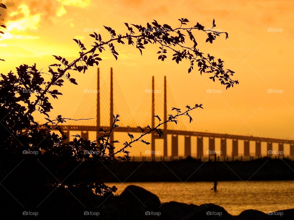 Öresundsbron in dusk