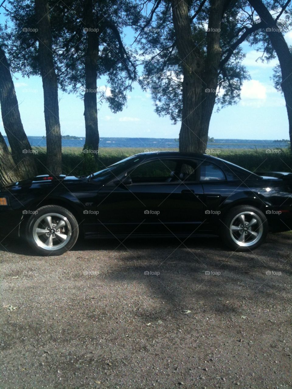 Black Beauty. Pic of our 2002 Ford Mustang GT