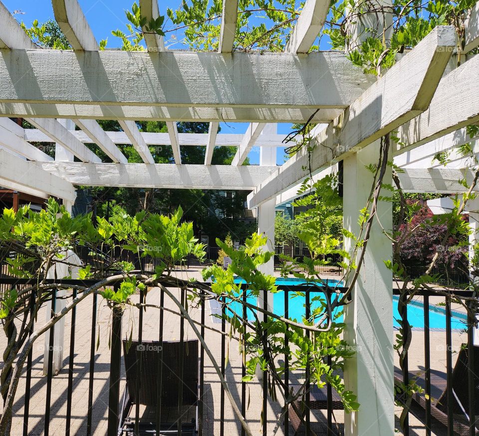 peaceful suburban apartment complex oasis in the shade on a sunny Summer day in Oregon