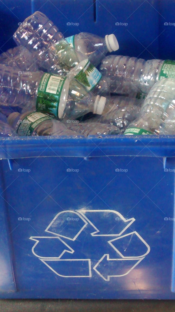 Recycling Bin Full of Empty Water Bottles