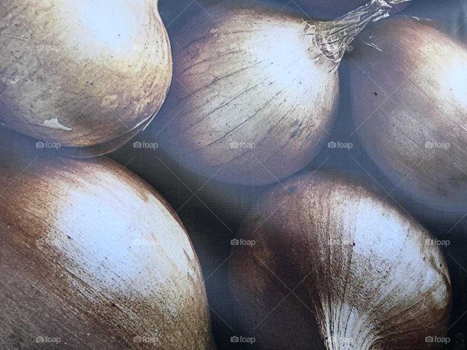 Some top notch onions, important because onions are important in mega loads of dishes.