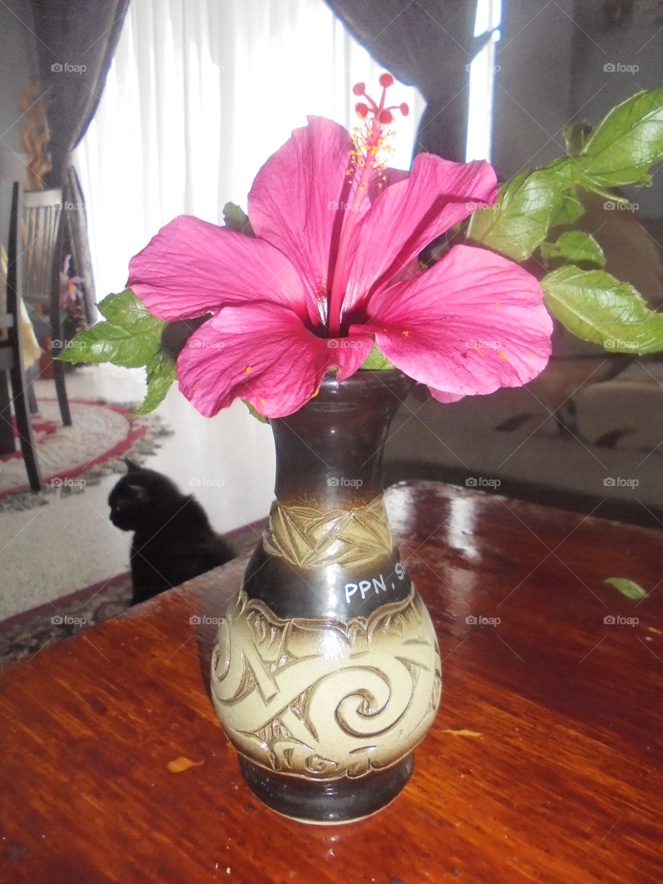Hibiscus In A Vase