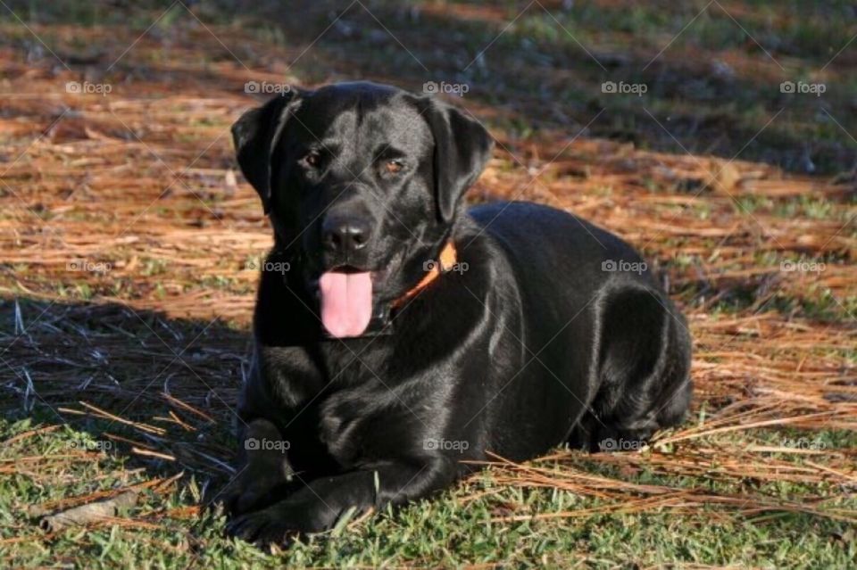 Luke. My best friend