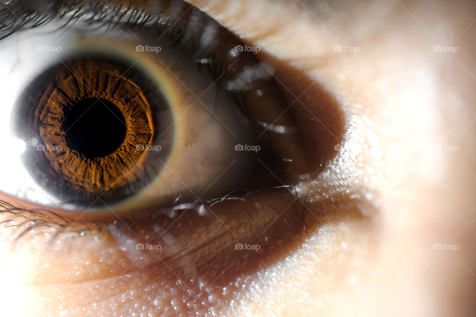 Close-up of a dark brown eye