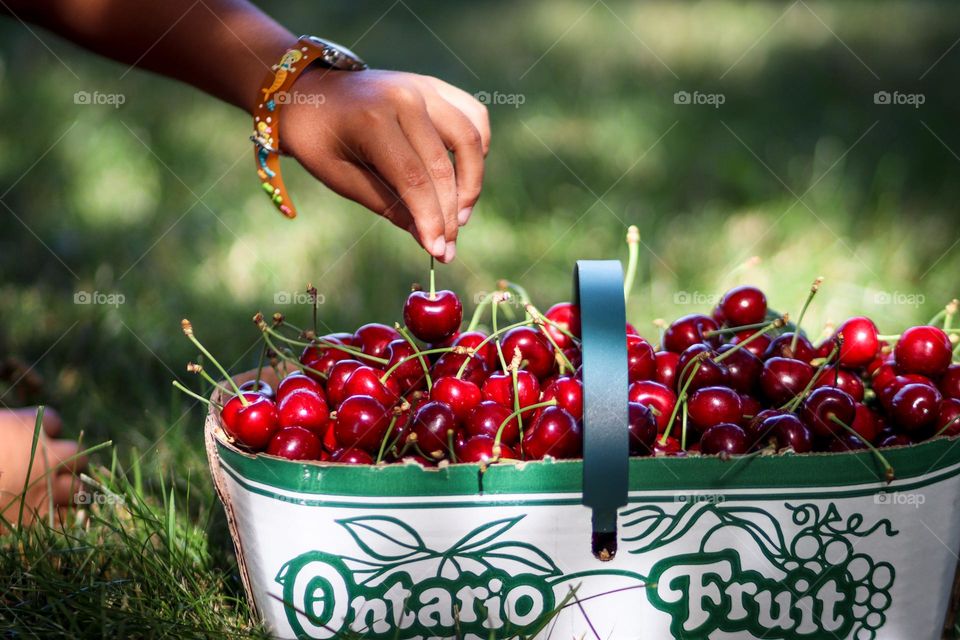 Cherry picking