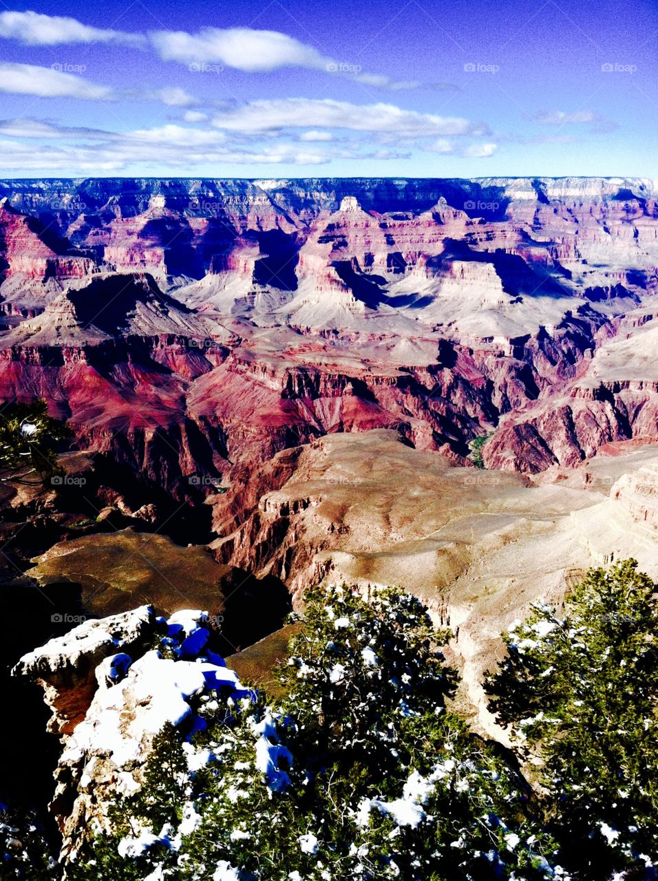 Looking into the Grand Canyon 