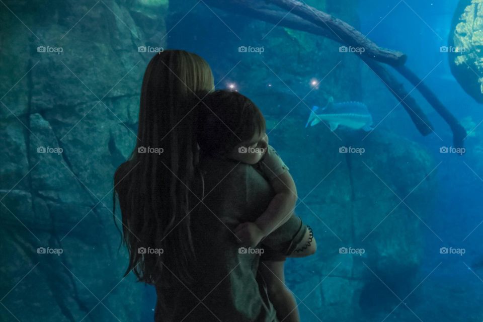 summer aquarium visit